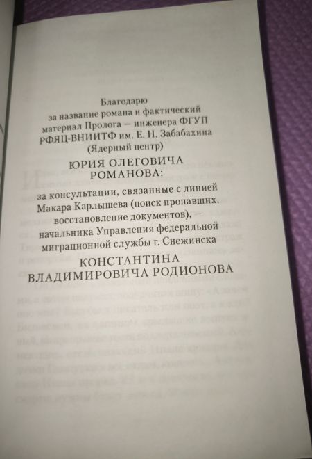 Пятый мост (Сибирская Благозвонница) (Вероника Николаевна Черных)