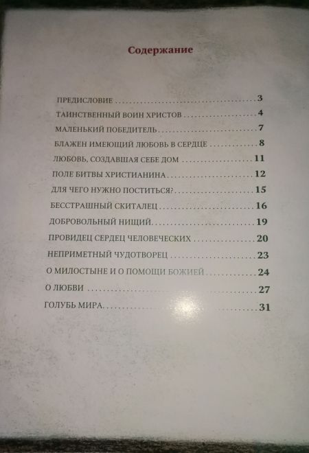 Незримый заступник. Расскзы для детей о старце Гаврииле (Ургебадзе) (Терирем)