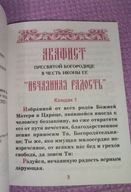 Акафист Пресвятой Богородице в честь иконы Её Нечаянная Радость (Синтагма)