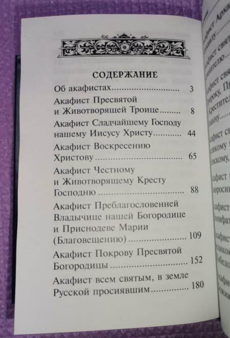 Акафисты, читаемые в болезнях, скорбях и особых нуждах (Санкт-Петербург) (Составитель Глебов Алексей Н.)