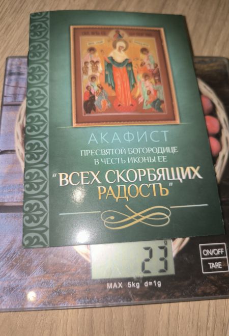 Акафист Пресвятой Богородице в честь иконы Ее Всех скорбящих Радость (Благовест)