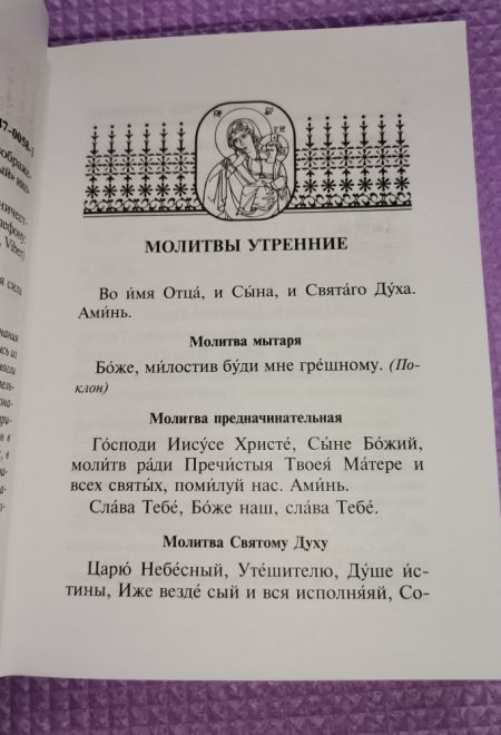 Молитвослов. Врачевство для жизни. Целительная сила трав (Терирем)