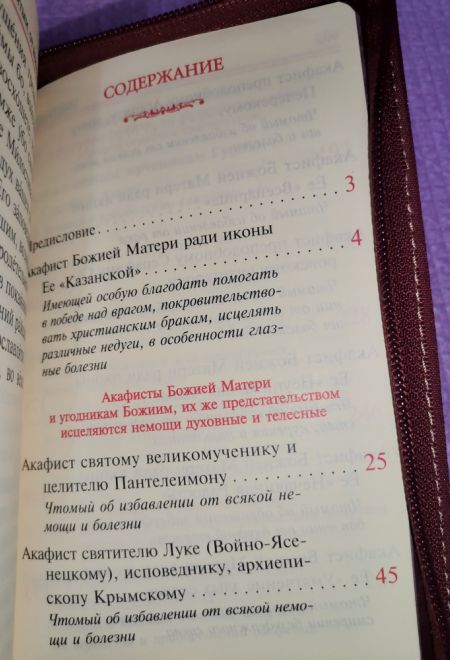 Акафисты Божией матери и святым. Кожа, молния, золотой обрез, два цвета (Оранта)