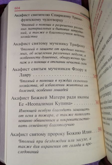 Акафисты Божией матери и святым. Кожа, молния, золотой обрез, два цвета (Оранта)