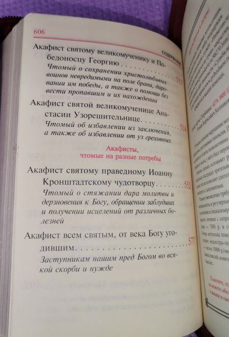 Акафисты Божией матери и святым. Кожа, молния, золотой обрез, два цвета (Оранта)