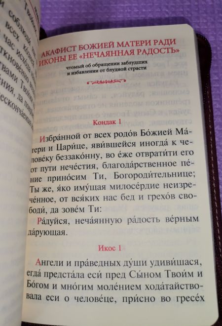 Акафисты Божией матери и святым. Кожа, молния, золотой обрез, два цвета (Оранта)