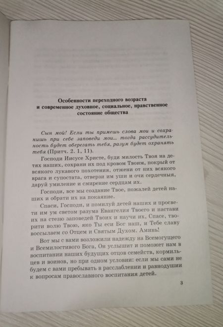 Православное воспитание мальчиков переходного возраста (советы священника) (Сатисъ) (Священник Виктор Грозовский)