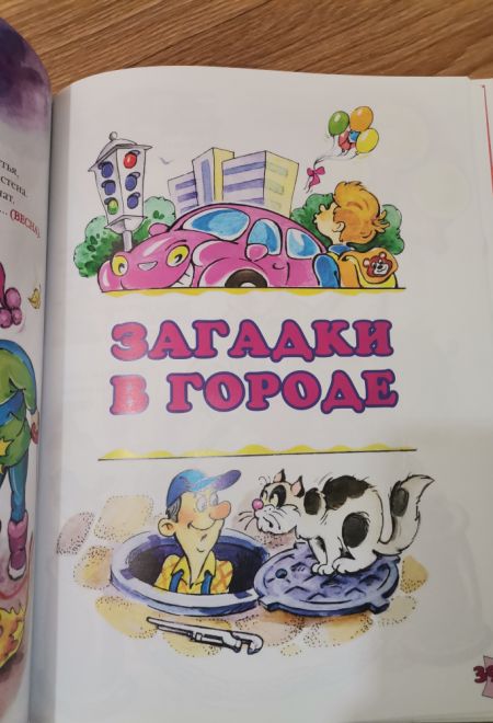 Самая загадочная книга. Загадки круглый год. Подарочная детская (Троица) (Борисов Владимир)