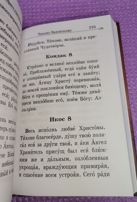 Акафистник в душевных болезнях. Помощь и защита (Благовест)