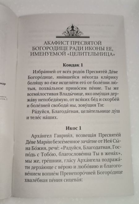 Акафисты читаемые в болезнях и за больных (Оранта/Терирем)