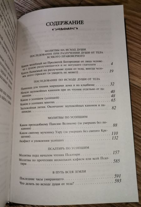 Псалтирь и каноны по усопшим для слабовидящих (Оранта/Терирем) (Худошин Александр)