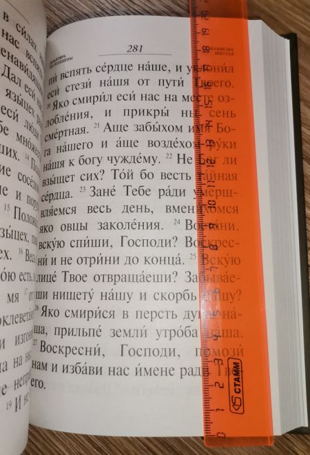 Псалтирь и каноны по усопшим для слабовидящих (Оранта/Терирем) (Худошин Александр)