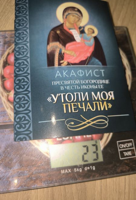 Акафист Пресвятой Богородице в честь иконы Ее Утоли моя печали (Благовест)