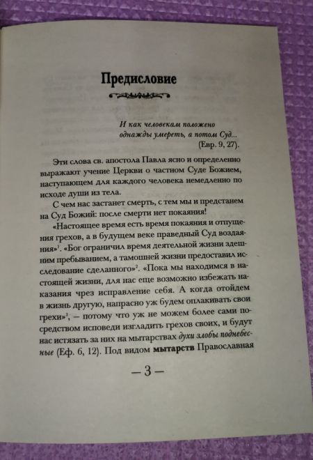 Как проводит душа первые сорок дней по исходе из тела (Оранта/Терирем/Свято-Троицкий Ионинский монастырь)