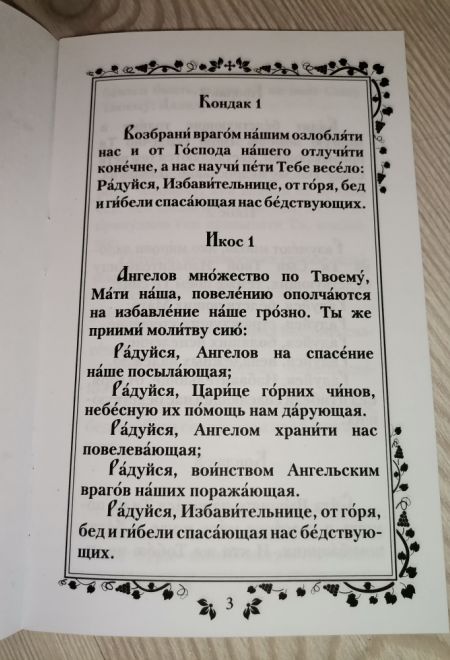 Акафист Пресвятой Богородице в честь чудотворныя иконы Ея, именуемая Избавительница (Библиополис)