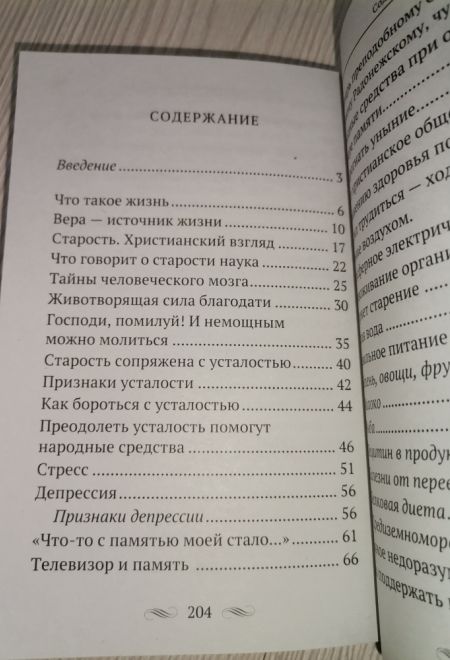 Осень нашей жизни. Окрепнуть в вере, поддержать здоровье (Летопись) (Богомолова Р.Т.)