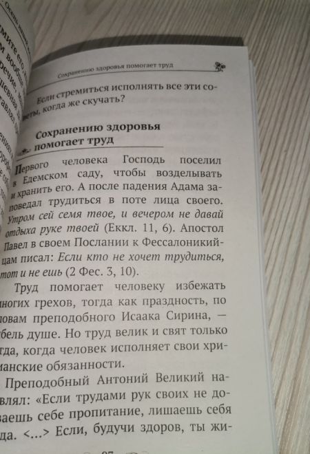 Осень нашей жизни. Окрепнуть в вере, поддержать здоровье (Летопись) (Богомолова Р.Т.)