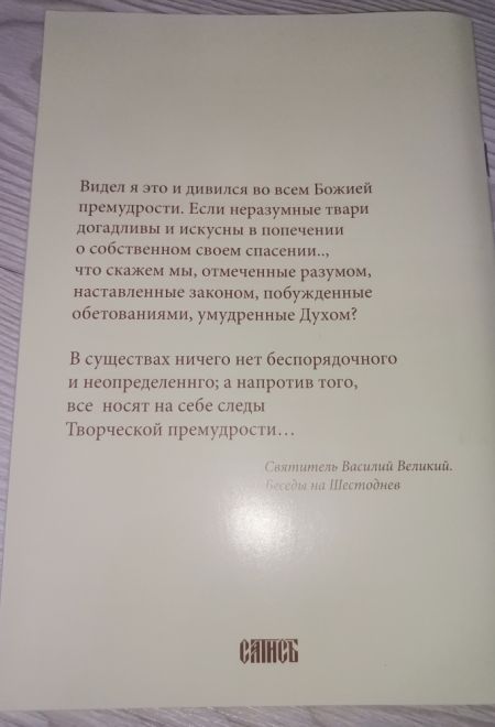 Как быть смиренным в наше время (Сатисъ) (Пестов Н.Е.)