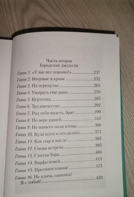 И пойду искать края... (Сибирская Благозвонница) (Шаманская Ю.В.)