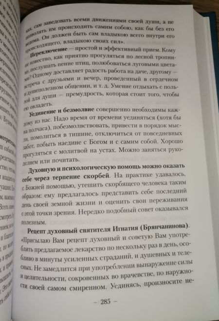 Очерки православной психотерапии (Троица) (Авдеев Д.А.)