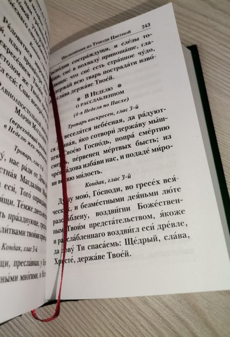 Молитвослов СЛАВА БОГУ ЗА ВСЕ. Молитвы о семье, детях, здоровье, воинах и заключенных. Акафисты (Православный подвижник)