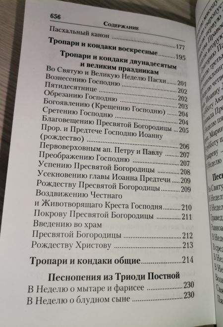 Молитвослов СЛАВА БОГУ ЗА ВСЕ. Молитвы о семье, детях, здоровье, воинах и заключенных. Акафисты (Православный подвижник)