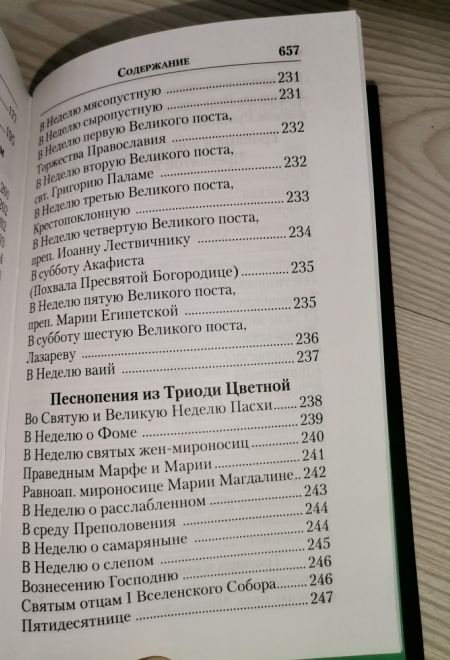 Молитвослов СЛАВА БОГУ ЗА ВСЕ. Молитвы о семье, детях, здоровье, воинах и заключенных. Акафисты (Православный подвижник)