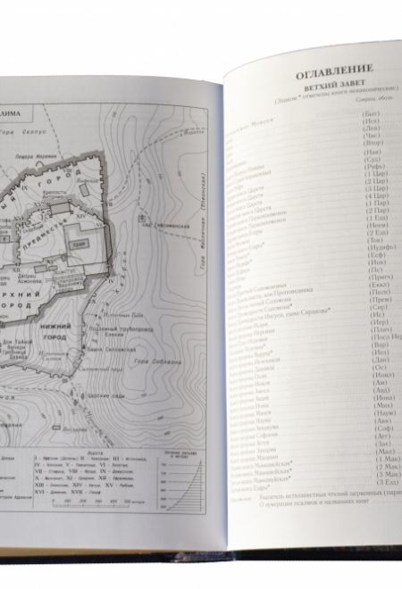 Библия подарочная. Кожа, золотой обрез (БММ)