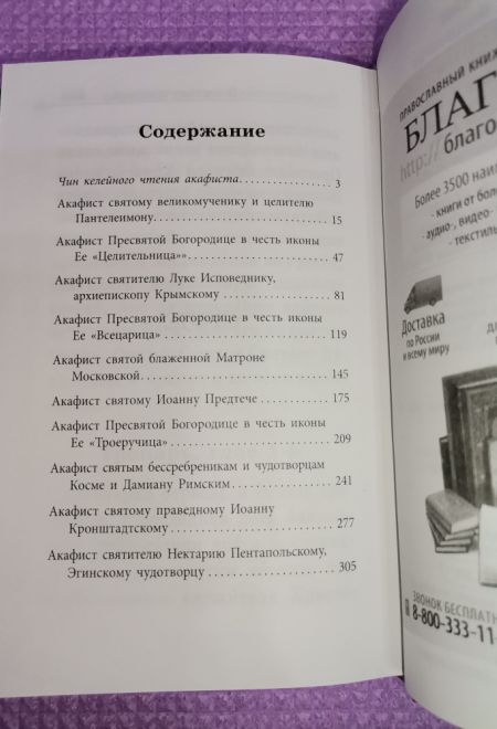 Акафистник в телесных болезнях. Благодатная помощь болящим. Крупный шрифт (Благовест)