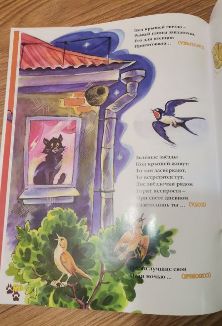 Самая загадочная книга. Подарочная детская (Троица) (Борисов Владимир)