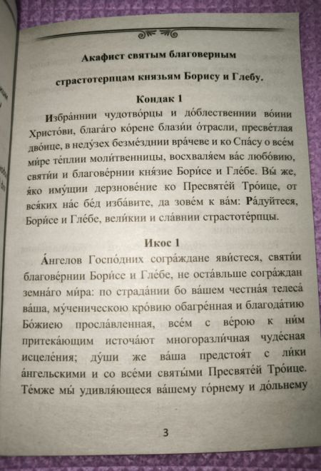Акафист святым благоверным страстотерпцам князьям Борису и Глебу (Храм Книги)