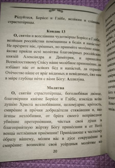 Акафист святым благоверным страстотерпцам князьям Борису и Глебу (Храм Книги)