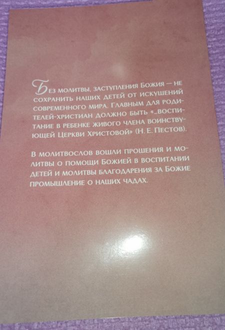 Молитвы о детях. Акафисты. Ангелы твои да хранят его (Сатисъ)