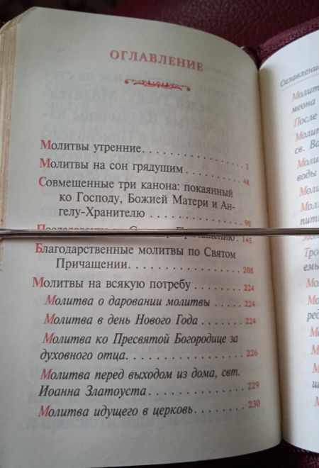 Молитвослов крупным шрифтом православный. На молнии, кожа, золотой обрез, цвет бордовый (Терирем)