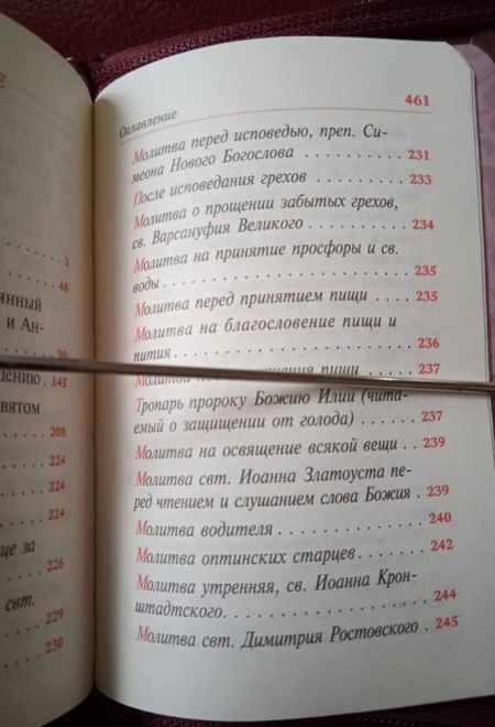 Молитвослов крупным шрифтом православный. На молнии, кожа, золотой обрез, цвет бордовый (Терирем)