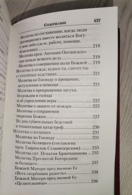 Молитвенник православной женщины. Молитвы на разные случаи семейной жизни (Православный подвижник)