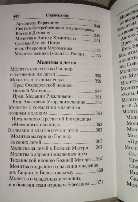 Молитвенник православной женщины. Молитвы на разные случаи семейной жизни (Православный подвижник)