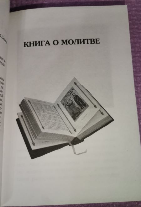 Не бойся, только веруй! Как молиться за детей, с наставлениями и советами для родителей (Летопись)