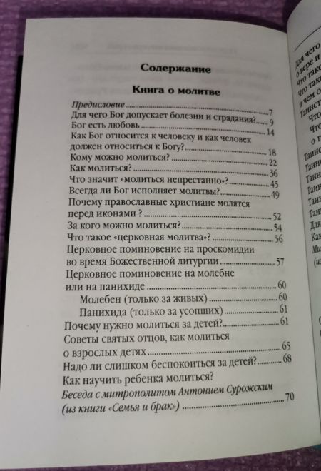 Не бойся, только веруй! Как молиться за детей, с наставлениями и советами для родителей (Летопись)