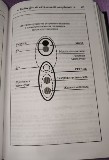 Путь умного делания. Молитва Иисусова. Опыт двух тысячелетий, т.4 (Синопсисъ) (Новиков Николай)