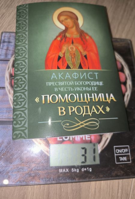 Акафист Пресвятой Богородице в честь иконы Её Помощница в родах (Благовест)